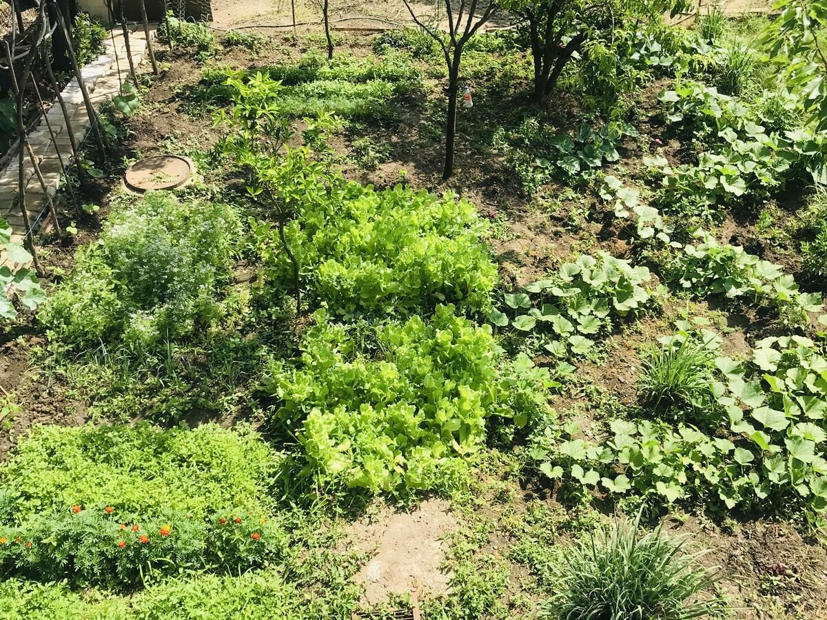 Мини-отель Hostel FORREST Кутаиси-26
