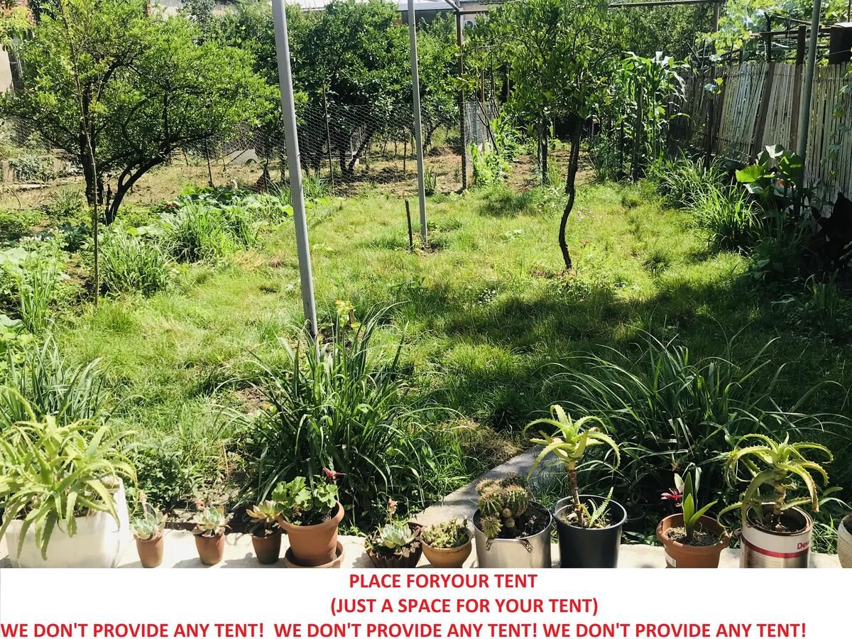 Мини-отель Hostel FORREST Кутаиси-27